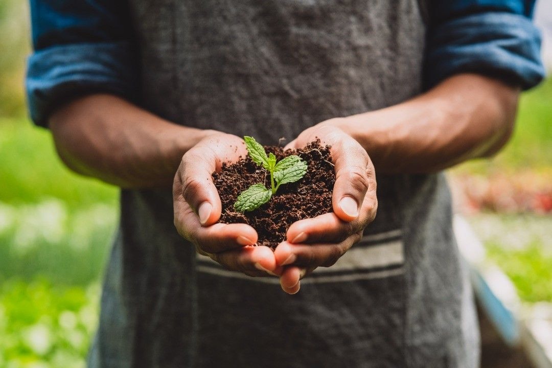 Nestlé unveils plans to support the transition to a regenerative food system