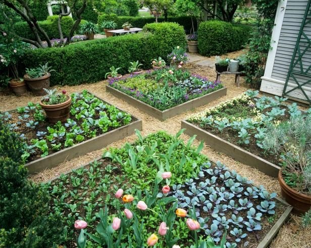 Let’s Go Farming: FAQ: Why do I need a garden?
